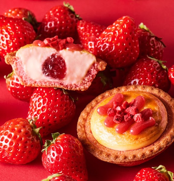 BAKE CHEESE TART 大阪髙島屋店 | 難波駅のケーキ屋 | coccory