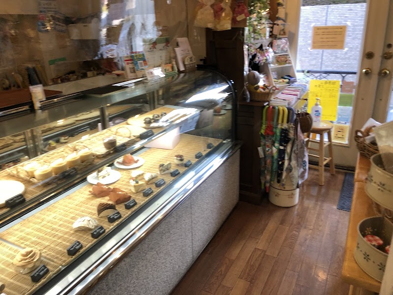 セントポーリア(Saintpaulia) こどもの国店
